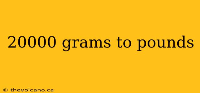 20000 grams to pounds