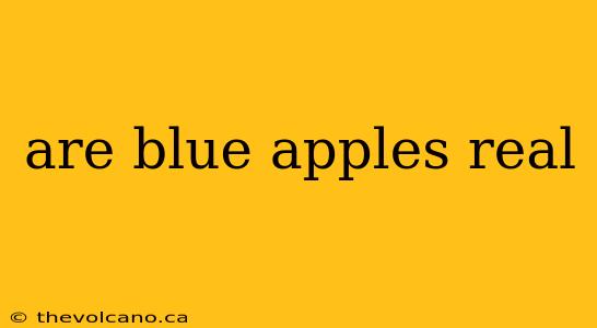 are blue apples real