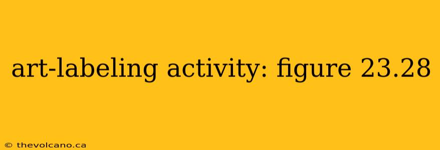 art-labeling activity: figure 23.28
