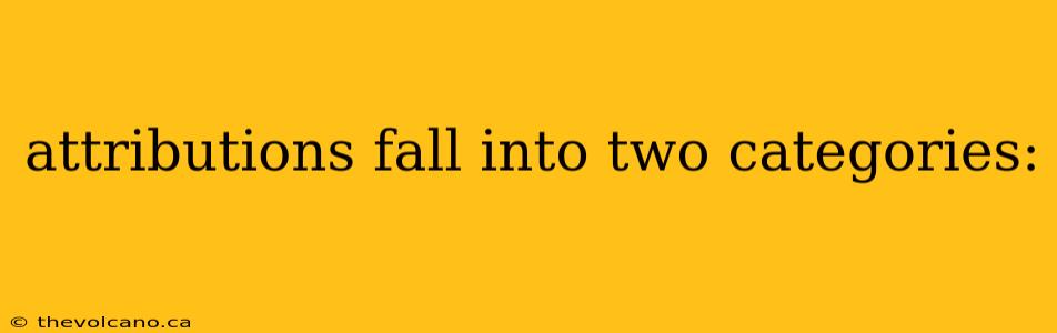 attributions fall into two categories: