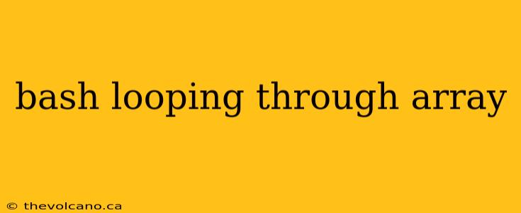 bash looping through array