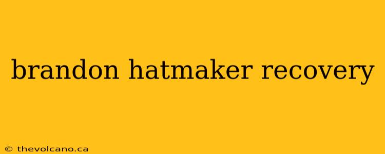 brandon hatmaker recovery