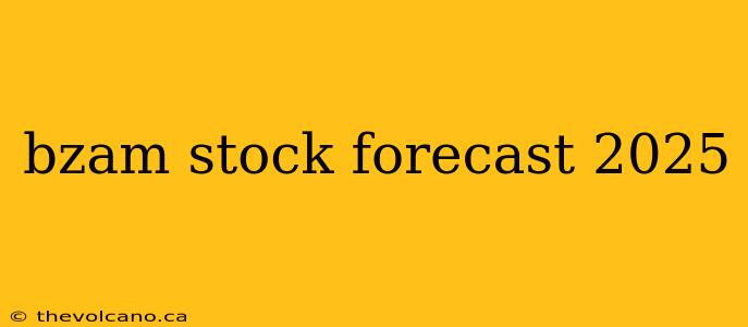 bzam stock forecast 2025