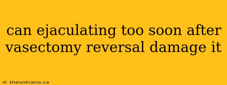 can ejaculating too soon after vasectomy reversal damage it