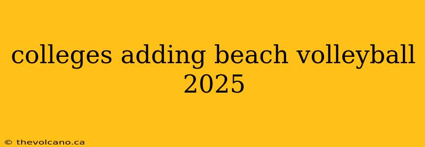 colleges adding beach volleyball 2025
