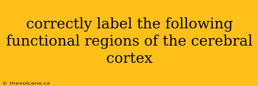 correctly label the following functional regions of the cerebral cortex
