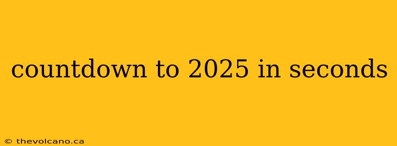 countdown to 2025 in seconds