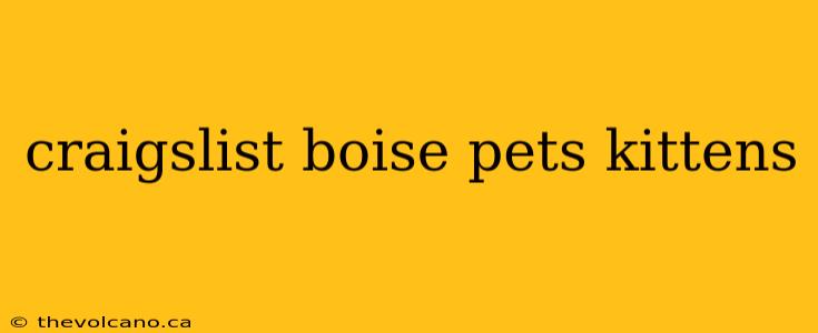 craigslist boise pets kittens