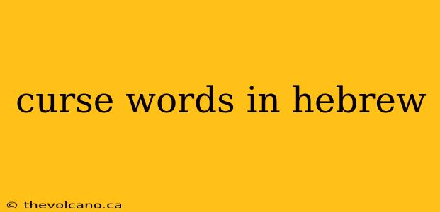 curse words in hebrew