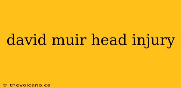 david muir head injury