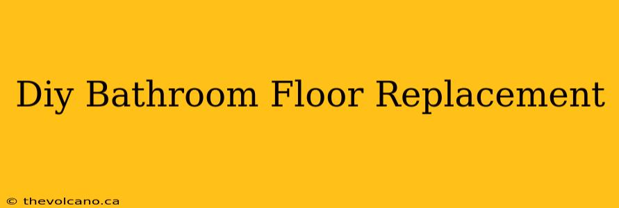 Diy Bathroom Floor Replacement