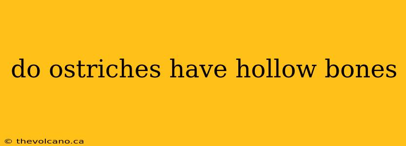 do ostriches have hollow bones