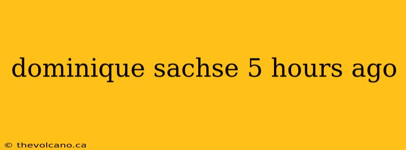 dominique sachse 5 hours ago