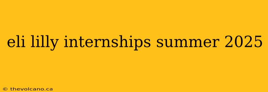 eli lilly internships summer 2025