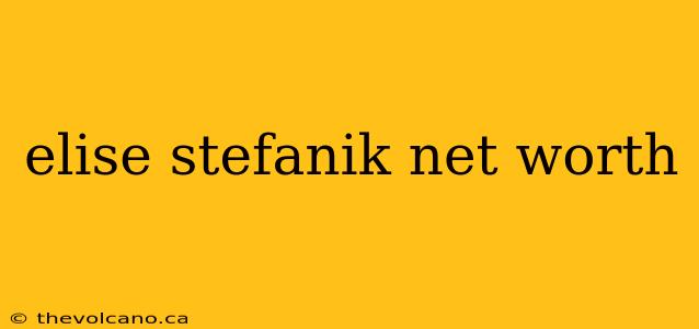 elise stefanik net worth
