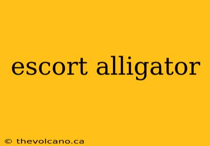 escort alligator