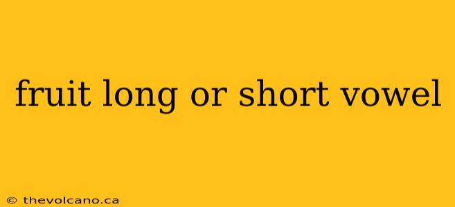 fruit long or short vowel