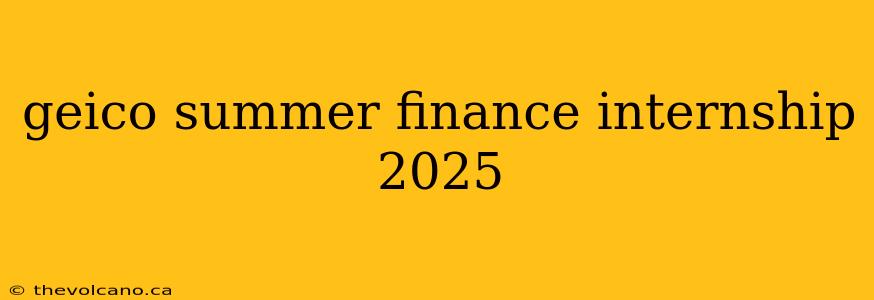 geico summer finance internship 2025