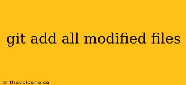 git add all modified files