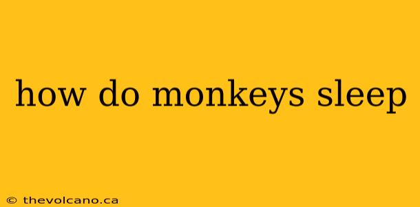 how do monkeys sleep