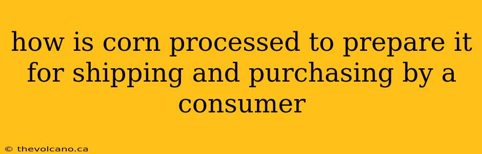 how is corn processed to prepare it for shipping and purchasing by a consumer