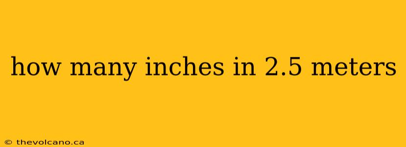 how many inches in 2.5 meters