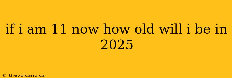 if i am 11 now how old will i be in 2025