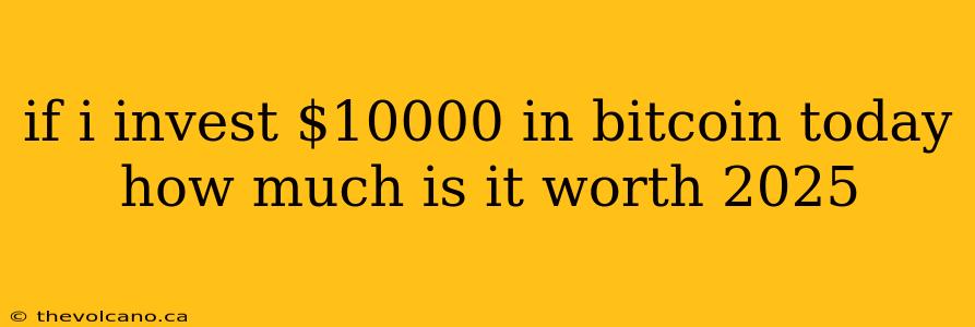 if i invest $10000 in bitcoin today how much is it worth 2025