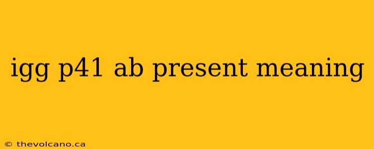 igg p41 ab present meaning