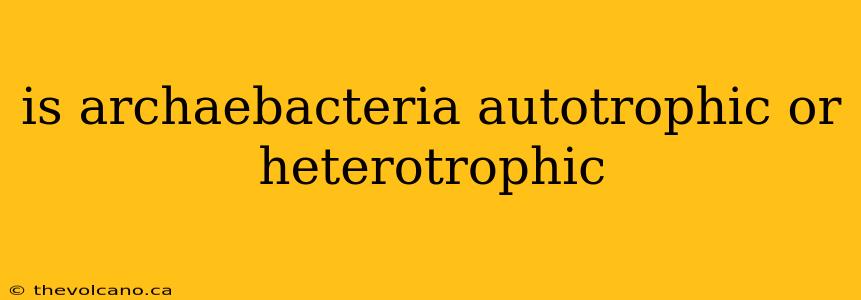 is archaebacteria autotrophic or heterotrophic