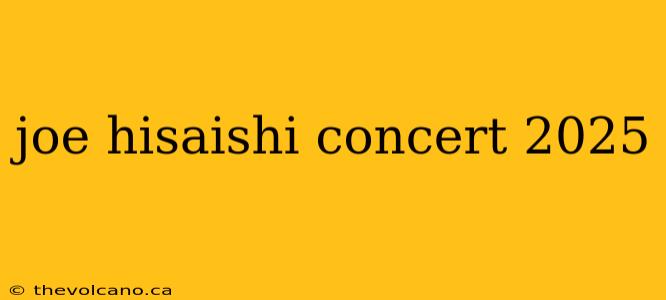 joe hisaishi concert 2025