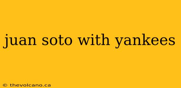 juan soto with yankees