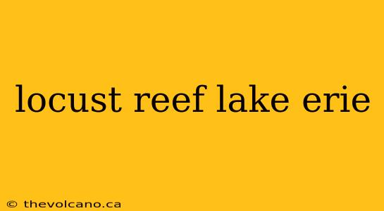 locust reef lake erie