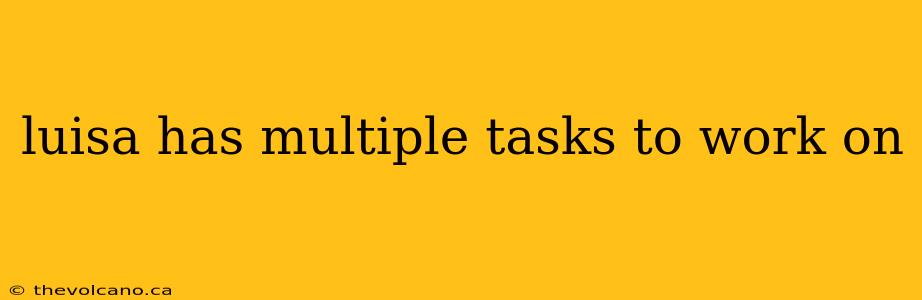 luisa has multiple tasks to work on