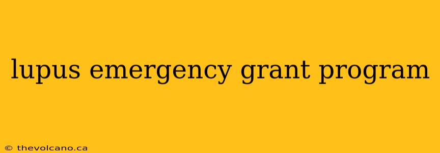 lupus emergency grant program