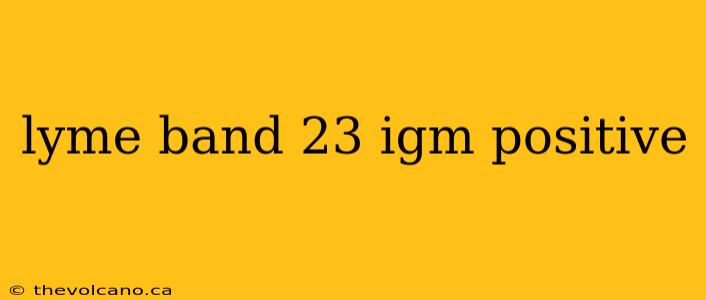 lyme band 23 igm positive