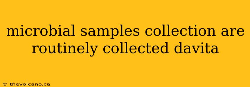 microbial samples collection are routinely collected davita