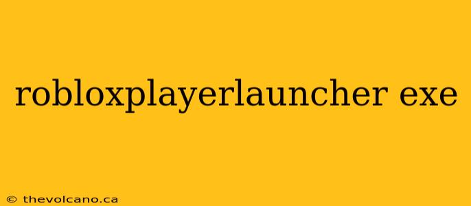 robloxplayerlauncher exe