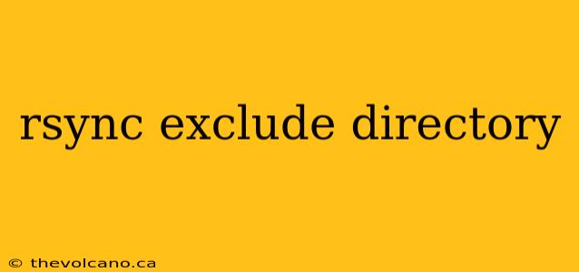 rsync exclude directory