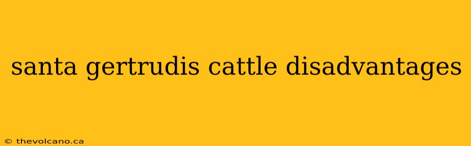 santa gertrudis cattle disadvantages