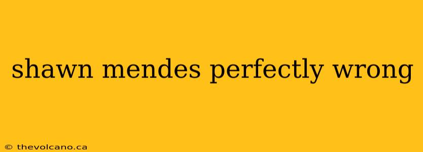shawn mendes perfectly wrong