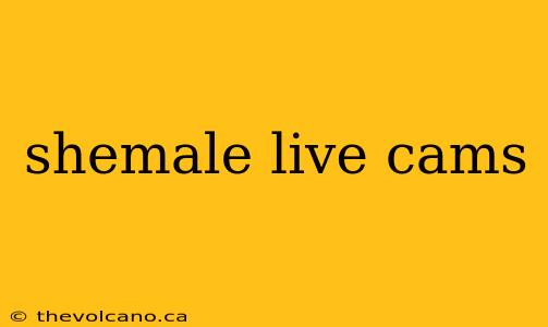 shemale live cams