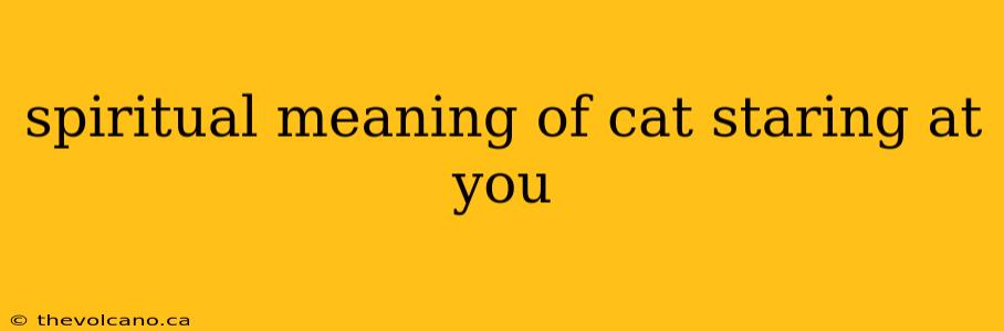 spiritual meaning of cat staring at you