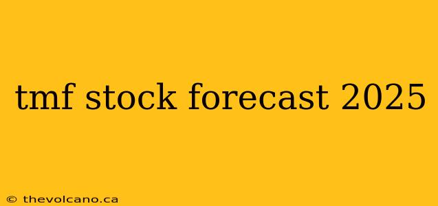 tmf stock forecast 2025