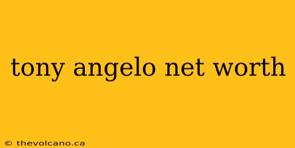 tony angelo net worth