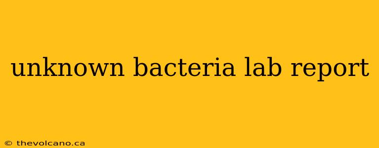 unknown bacteria lab report