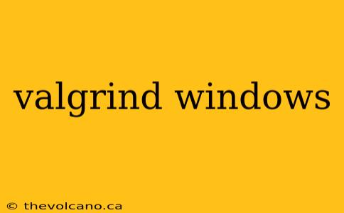 valgrind windows
