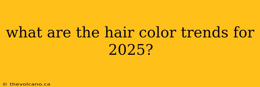 what are the hair color trends for 2025?