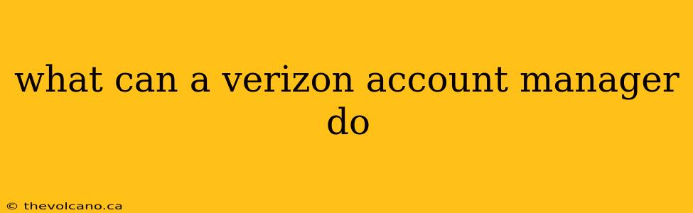 what can a verizon account manager do