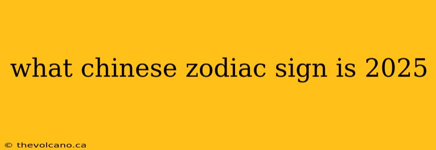 what chinese zodiac sign is 2025